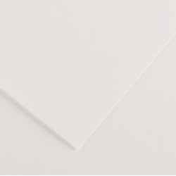 Foglio COLORLINE 70x100 cm 220 gr. 01 Bianco